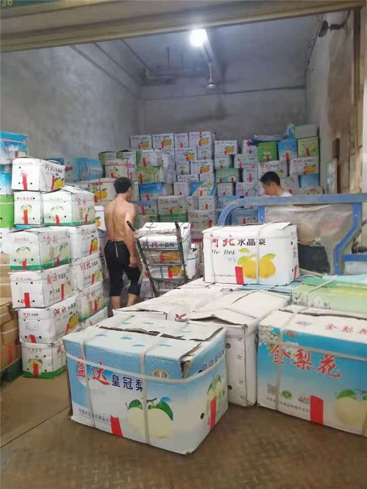 Z6���������ǲ�(�й���)���޹�˾����