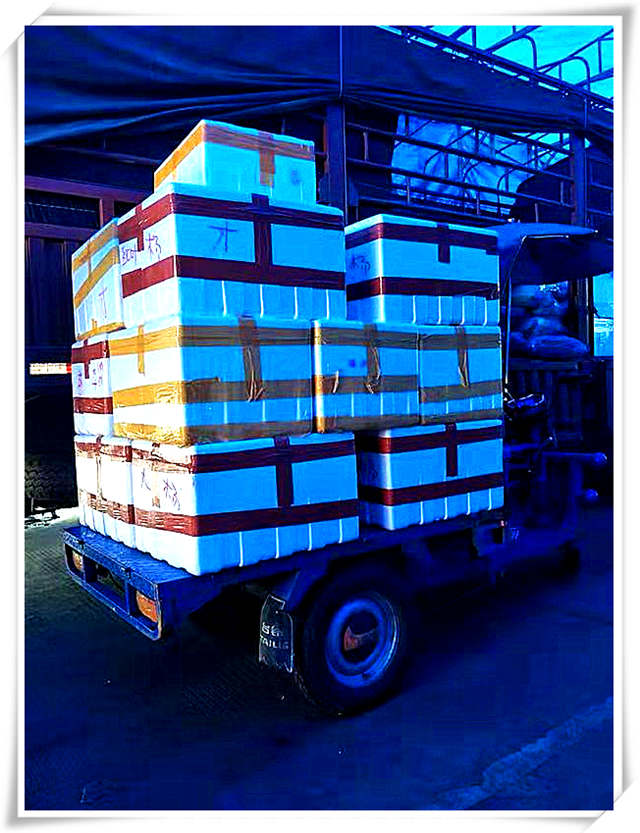 Z6���������ǲ�(�й���)���޹�˾����