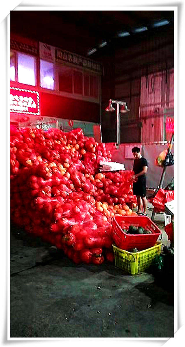 Z6���������ǲ�(�й���)���޹�˾����