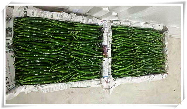 Z6���������ǲ�(�й���)���޹�˾����