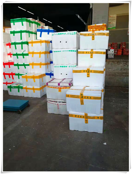 Z6���������ǲ�(�й���)���޹�˾����