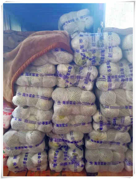 Z6���������ǲ�(�й���)���޹�˾����