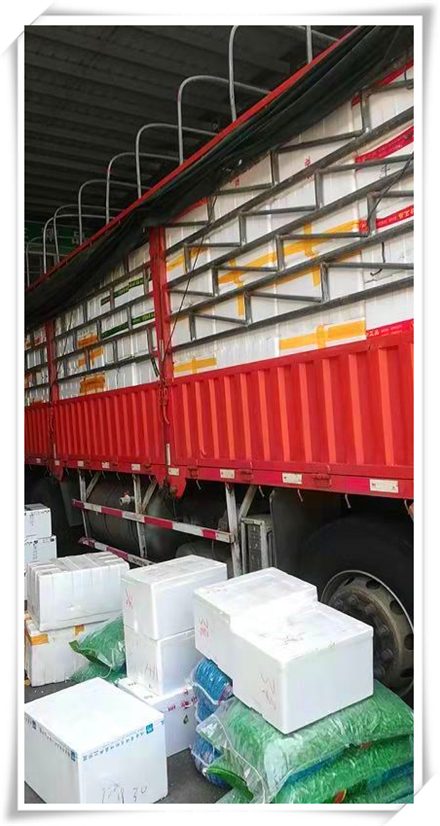 Z6���������ǲ�(�й���)���޹�˾����