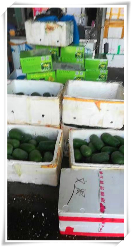 Z6���������ǲ�(�й���)���޹�˾����