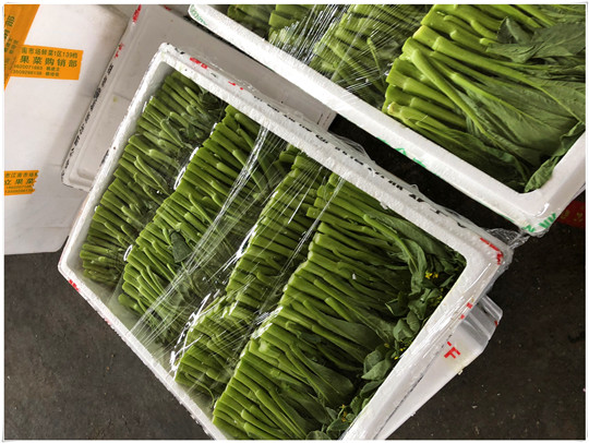 Z6���������ǲ�(�й���)���޹�˾����