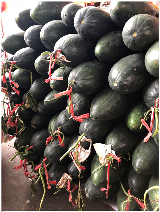 Z6���������ǲ�(�й���)���޹�˾����