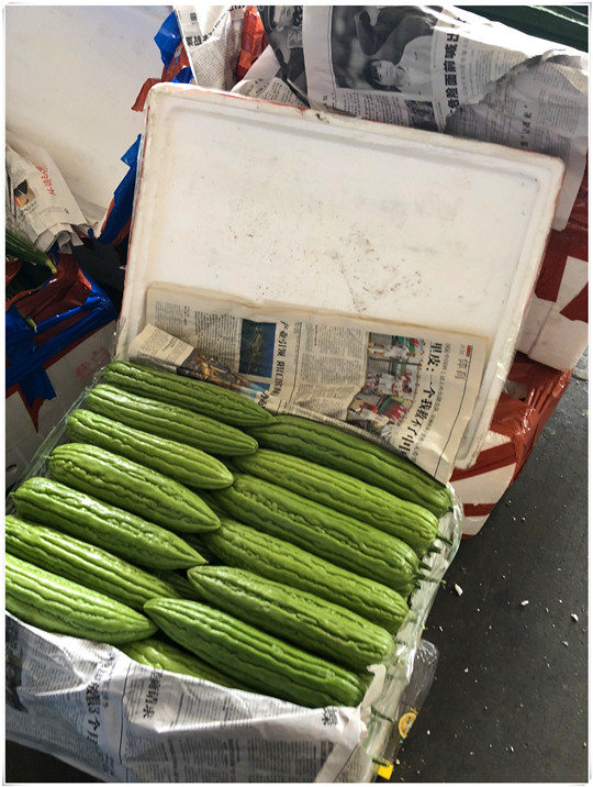 Z6���������ǲ�(�й���)���޹�˾����