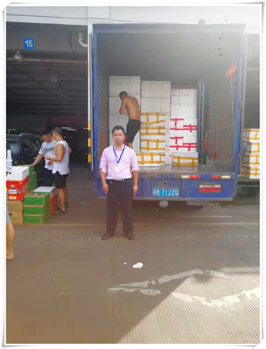 Z6���������ǲ�(�й���)���޹�˾����