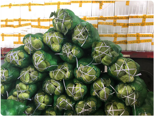 Z6���������ǲ�(�й���)���޹�˾����