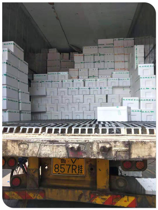 Z6���������ǲ�(�й���)���޹�˾����