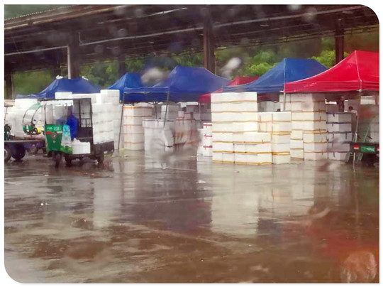 Z6���������ǲ�(�й���)���޹�˾����