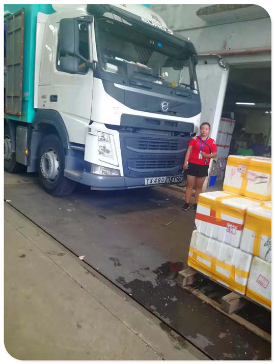 Z6���������ǲ�(�й���)���޹�˾����