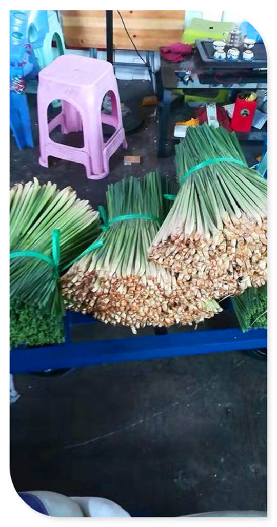 Z6���������ǲ�(�й���)���޹�˾����