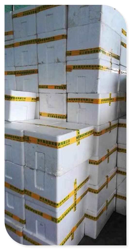 Z6���������ǲ�(�й���)���޹�˾����