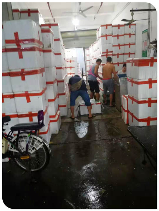 Z6���������ǲ�(�й���)���޹�˾����