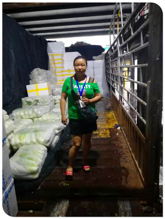 Z6���������ǲ�(�й���)���޹�˾����