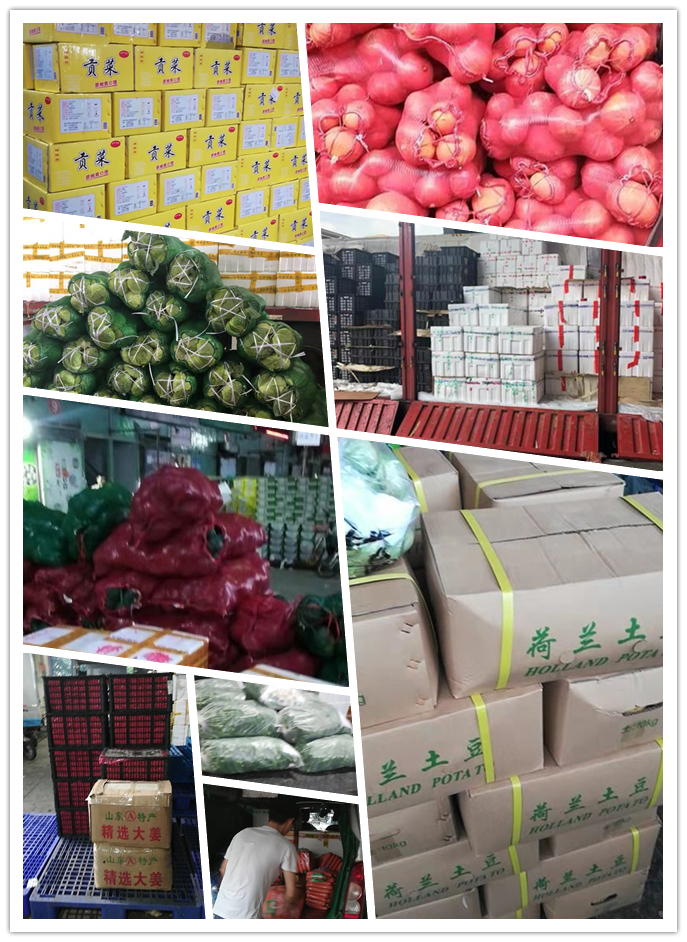 Z6���������ǲ�(�й���)���޹�˾����