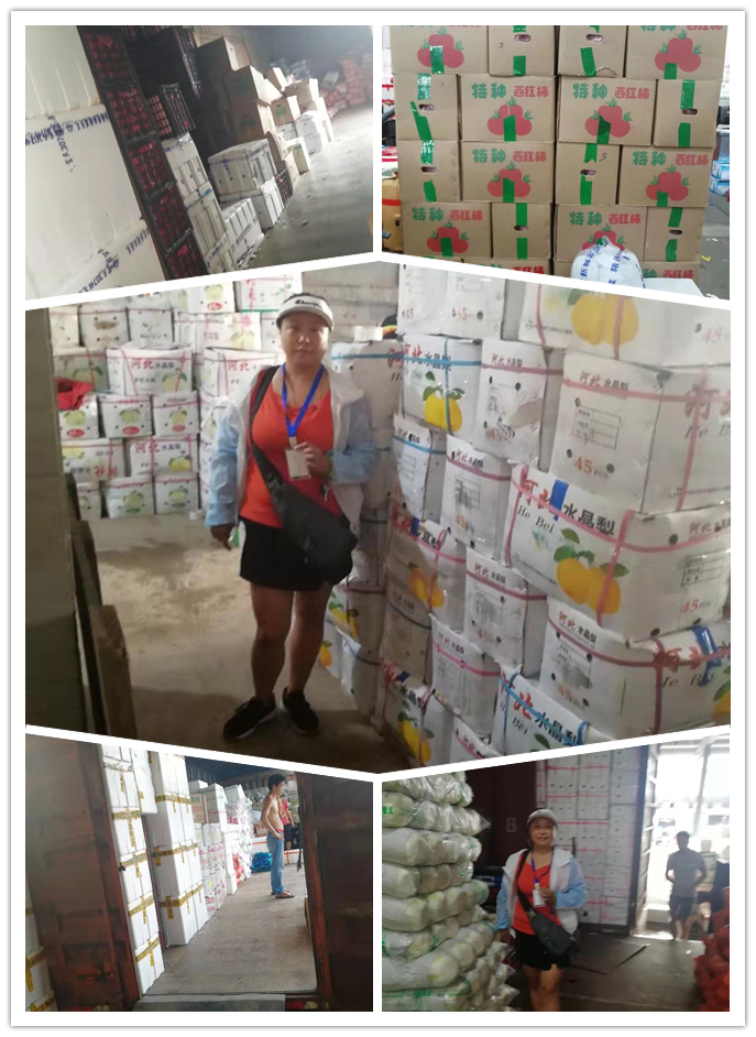 Z6���������ǲ�(�й���)���޹�˾����