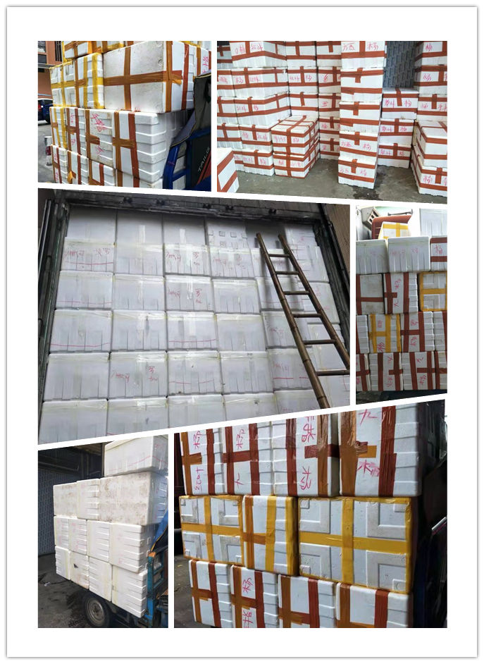 Z6���������ǲ�(�й���)���޹�˾����