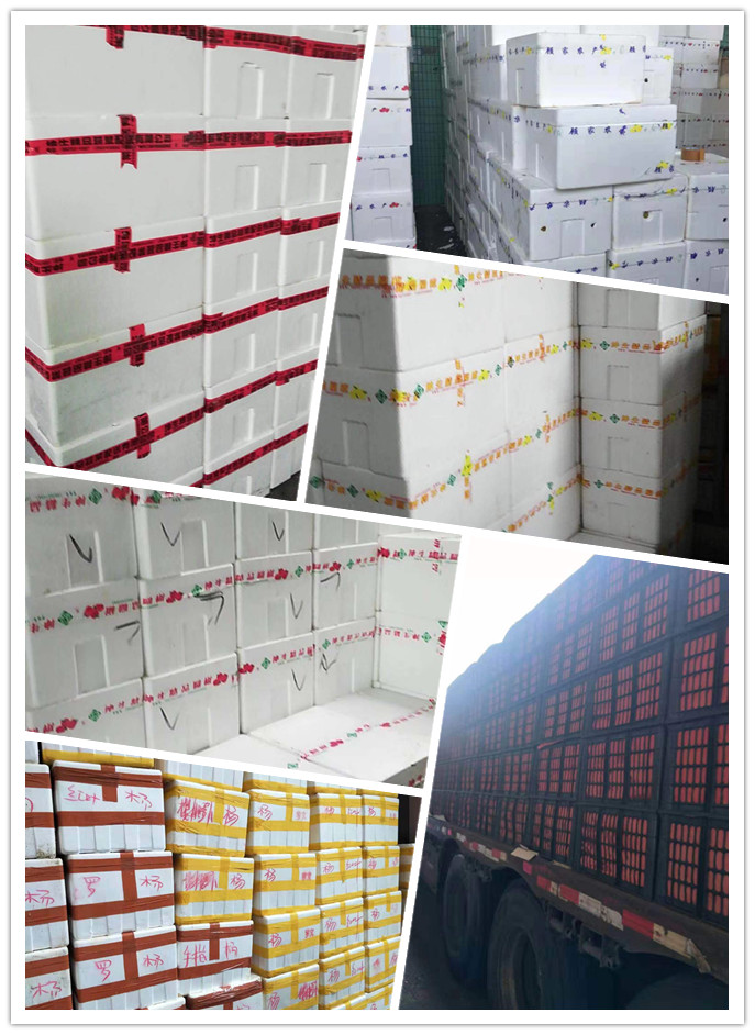 Z6���������ǲ�(�й���)���޹�˾����