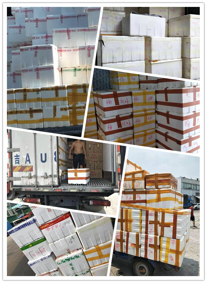 Z6���������ǲ�(�й���)���޹�˾����