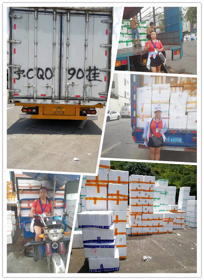 Z6���������ǲ�(�й���)���޹�˾����