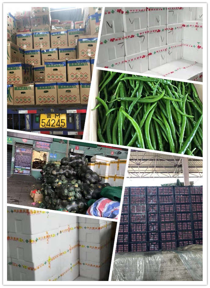 Z6���������ǲ�(�й���)���޹�˾����