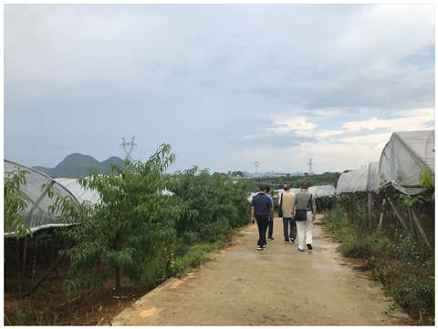 Z6���������ǲ�(�й���)���޹�˾����