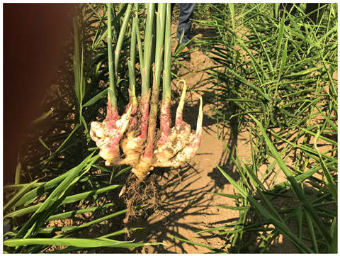 Z6���������ǲ�(�й���)���޹�˾����