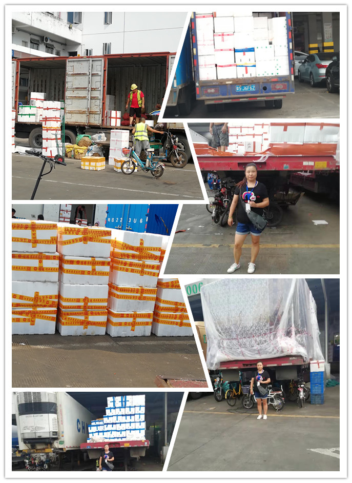 Z6���������ǲ�(�й���)���޹�˾����