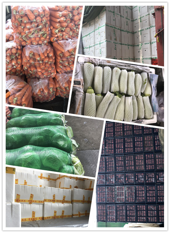 Z6���������ǲ�(�й���)���޹�˾����