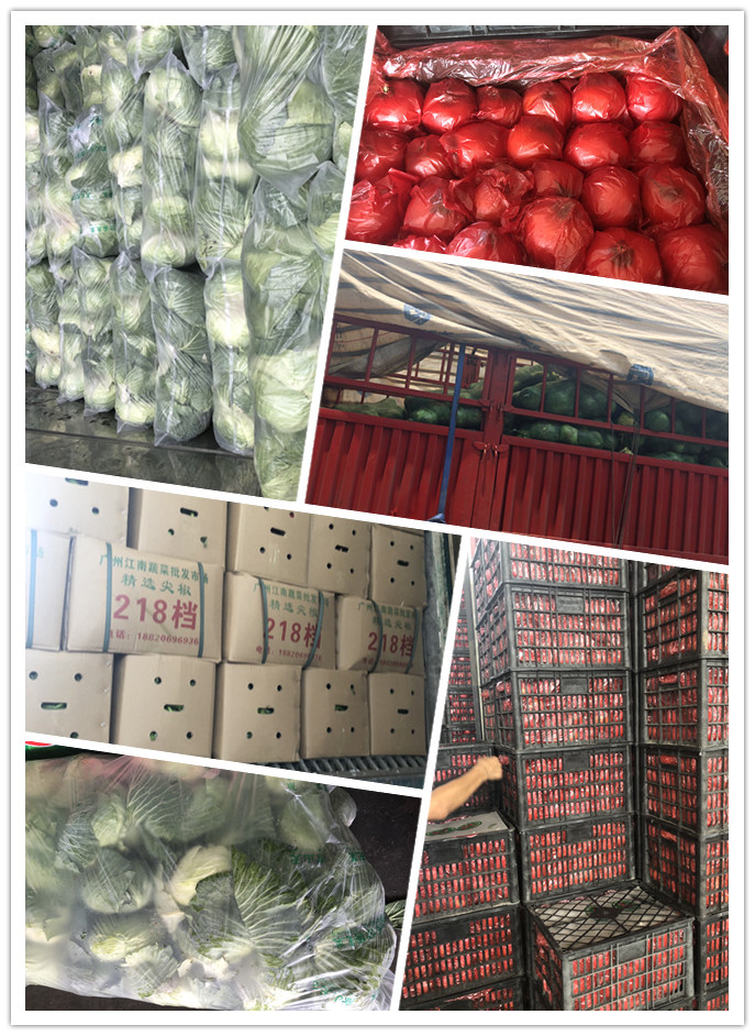 Z6���������ǲ�(�й���)���޹�˾����