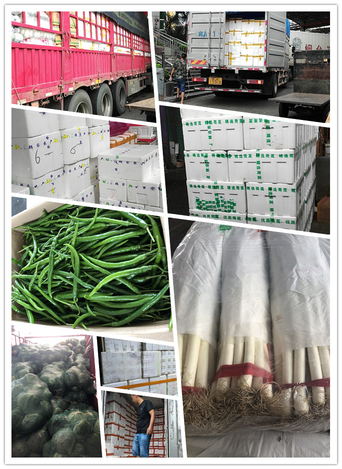 Z6���������ǲ�(�й���)���޹�˾����