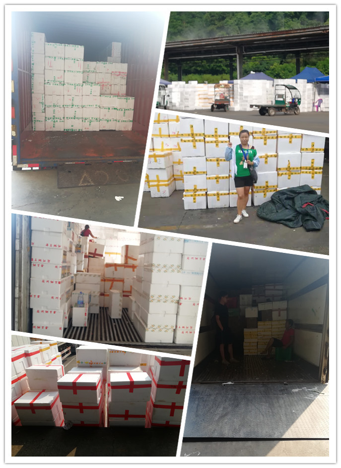 Z6���������ǲ�(�й���)���޹�˾����