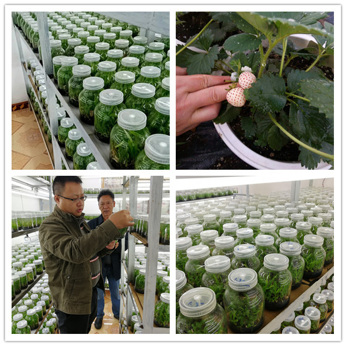 Z6���������ǲ�(�й���)���޹�˾����