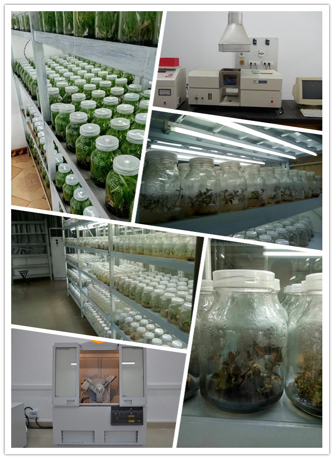 Z6���������ǲ�(�й���)���޹�˾����