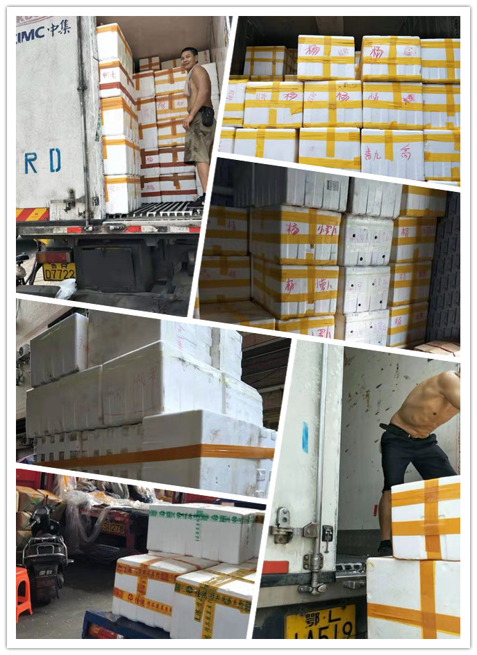 Z6���������ǲ�(�й���)���޹�˾����