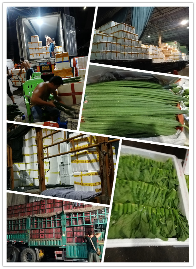 Z6���������ǲ�(�й���)���޹�˾����