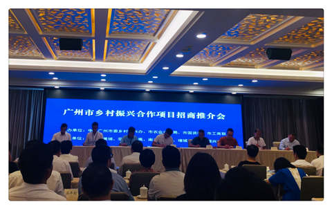 Z6���������ǲ�(�й���)���޹�˾����