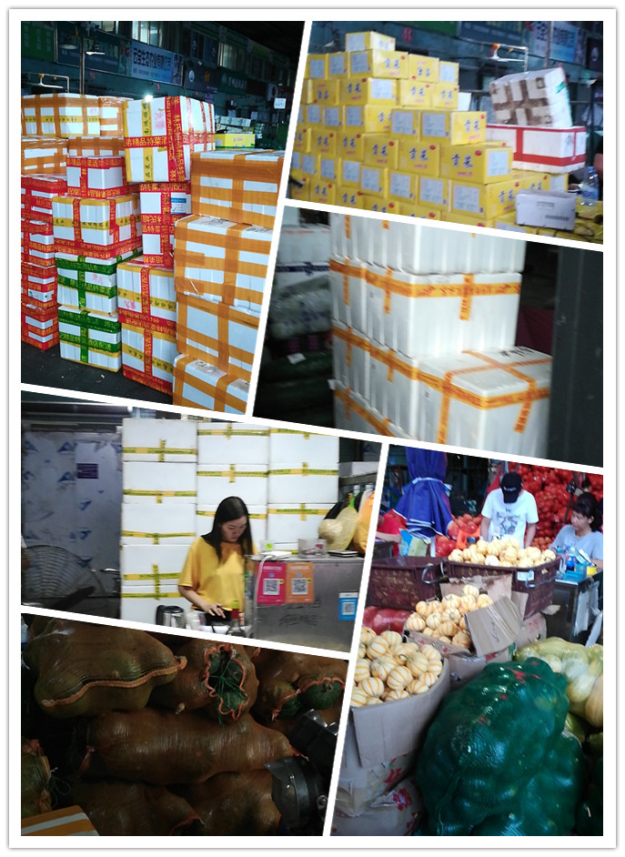 Z6���������ǲ�(�й���)���޹�˾����