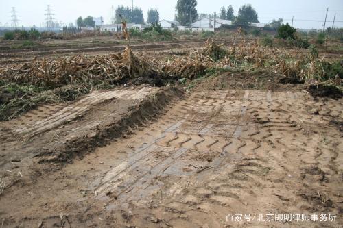 Z6���������ǲ�(�й���)���޹�˾����