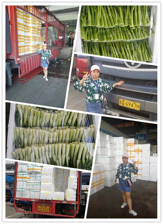 Z6���������ǲ�(�й���)���޹�˾����