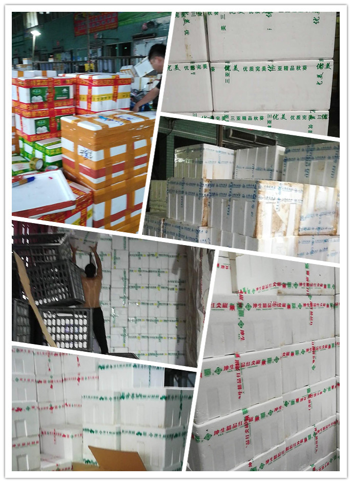 Z6���������ǲ�(�й���)���޹�˾����