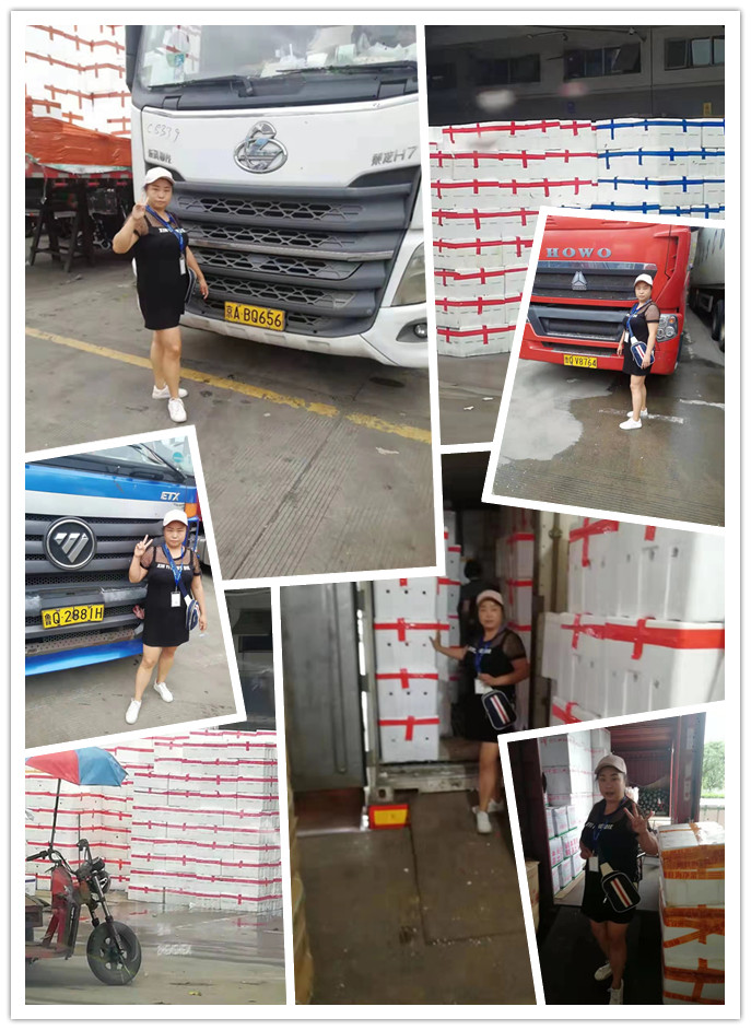 Z6���������ǲ�(�й���)���޹�˾����