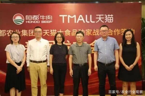 Z6���������ǲ�(�й���)���޹�˾����