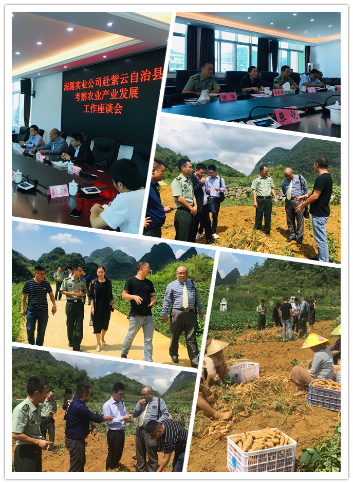 Z6���������ǲ�(�й���)���޹�˾����