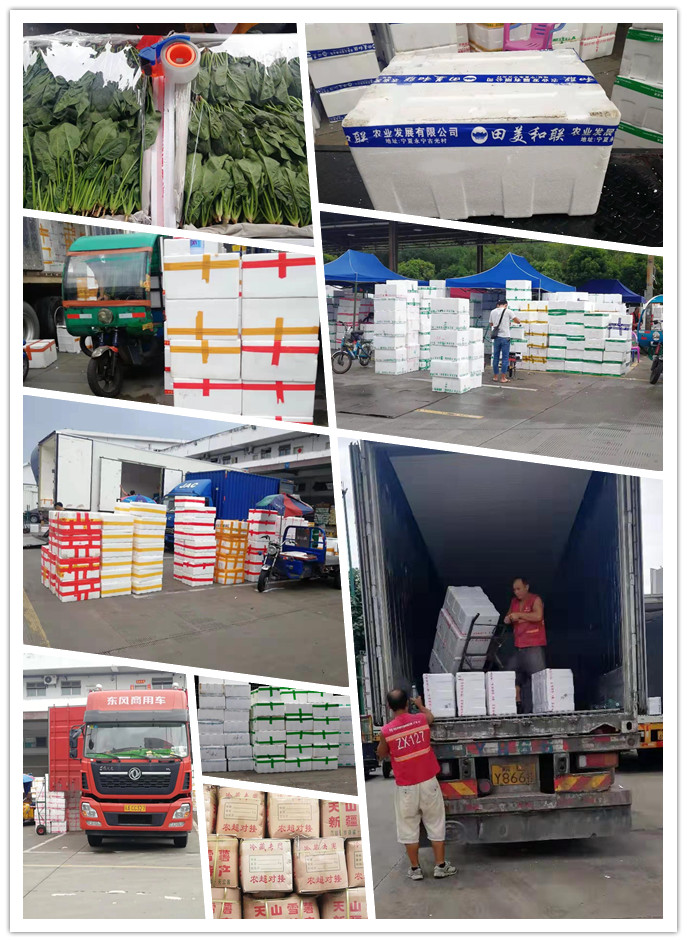 Z6���������ǲ�(�й���)���޹�˾����