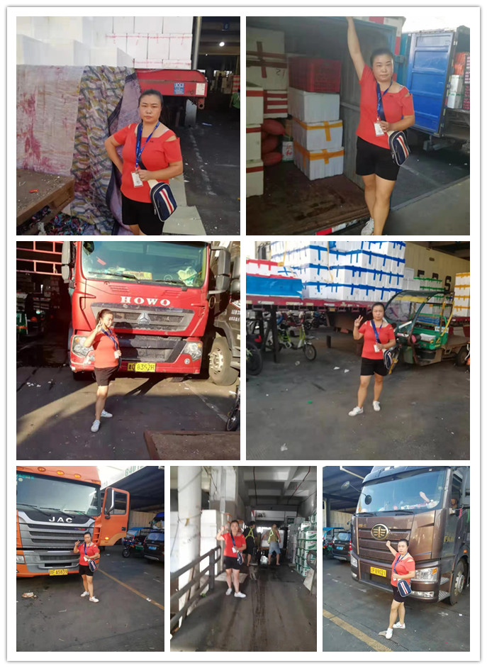 Z6���������ǲ�(�й���)���޹�˾����