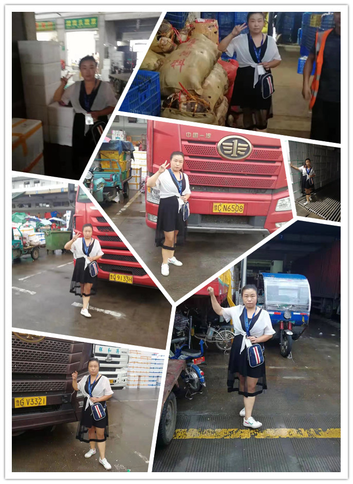 Z6���������ǲ�(�й���)���޹�˾����