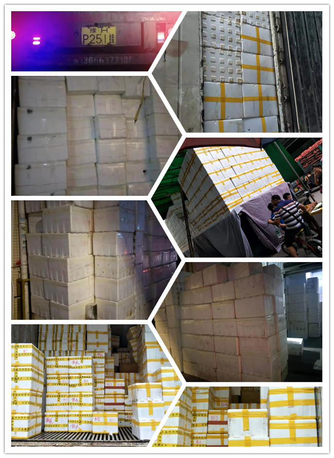 Z6���������ǲ�(�й���)���޹�˾����